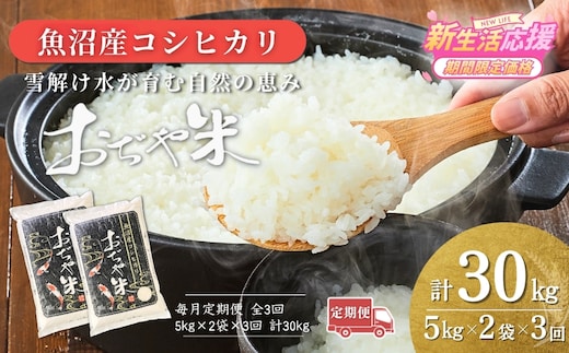 【3か月定期便（毎月発送）】 令和7年産 新潟県 魚沼産コシヒカリ「おぢや米」合計30kg(5kg×2袋×全3回) 【0002-JA16DB00-02】