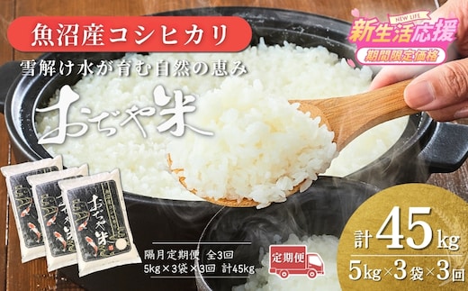 【3か月定期便（隔月発送）】 令和7年産 新潟県 魚沼産コシヒカリ「おぢや米」合計45kg(5kg×3袋×全3回) JA魚沼