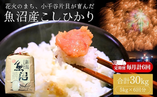 【定期便】令和7年産 魚沼産コシヒカリ 5kg × 6回 (計30kg) 毎月お届け 米萬商店 | 半年コース 四尺玉の町・片貝産 新潟 白米 頒布会 産地直送 ブランド米 老舗米屋の厳選米【0002-KM05DB00-03】