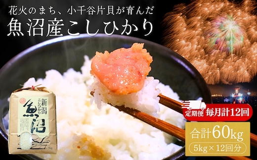 【定期便】令和7年産 魚沼産コシヒカリ 5kg×12回 (計60kg) 米萬商店 | 毎月お届け 四尺玉の町・片貝産 新潟 白米 12ヶ月コース 頒布会 産地直送 ブランド米 老舗米屋の厳選米【0002-KM11DB00-01】