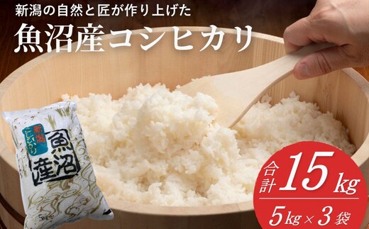 米 コシヒカリ魚沼産コシヒカリ 魚沼コシヒカリ 15kg 令和7年産 精米 共栄農工社 | 魚沼産こしひかり 魚沼こしひかり 新潟県産コシヒカリ 新潟産コシヒカリ 新潟県産こしひかり こしひかり 新潟産こしひかり 新潟こしひかり 新潟コシヒカリ お米 白米 おこめ コメ オコメ 15キロ 5キログラム にいがた 新潟県 小千谷市 【0002-KY20】