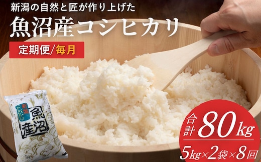 米 コシヒカリ魚沼産コシヒカリ 魚沼コシヒカリ 定期便 計80kg (5kg2袋×8回) 毎月お届け 令和7年産 精米 共栄農工社 | 魚沼産こしひかり 魚沼こしひかり 新潟県産コシヒカリ 新潟産コシヒカリ 新潟県産こしひかり こしひかり 新潟産こしひかり 新潟こしひかり 新潟コシヒカリ お米 白米 おこめ コメ オコメ にいがた 新潟県 小千谷市 【0002-KY26DB00】