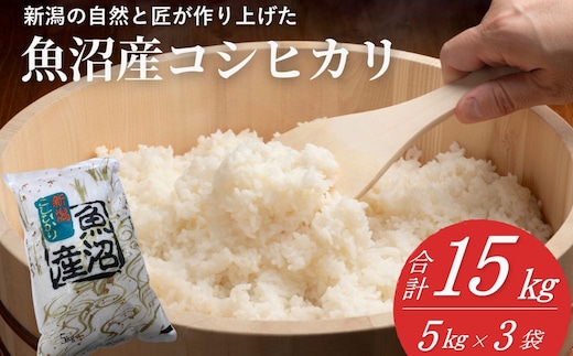 令和8年産 先行予約 魚沼コシヒカリ 15kg 精米 共栄農工社 コシヒカリ こしひかり 【0002-KY29】