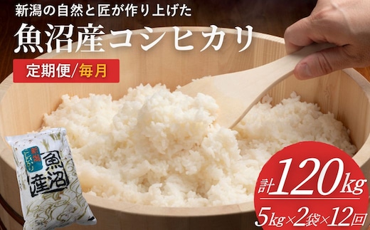 【定期便】令和8年産 魚沼産コシヒカリ 計120kg (5kg2袋×12回) 毎月 コシヒカリ 共栄農工社 こしひかり【0002-KY37DB00-01】