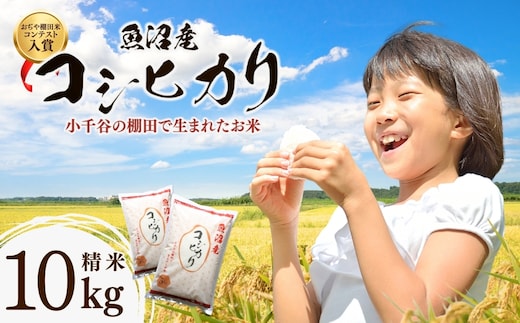 令和7年産 魚沼産コシヒカリ おぢや棚田米コンテスト入賞者の栽培した棚田米 精米10kg（5kg×2袋）【0002-RC02-02】