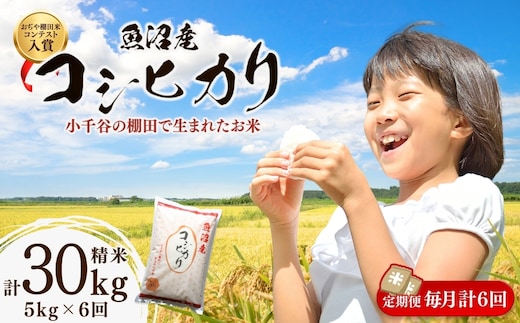 令和7年産 魚沼産コシヒカリ おぢや棚田米コンテスト入賞者の栽培した棚田米 精米30kg（5kg×6回）定期便毎月発送【0002-RC05DB00-02】