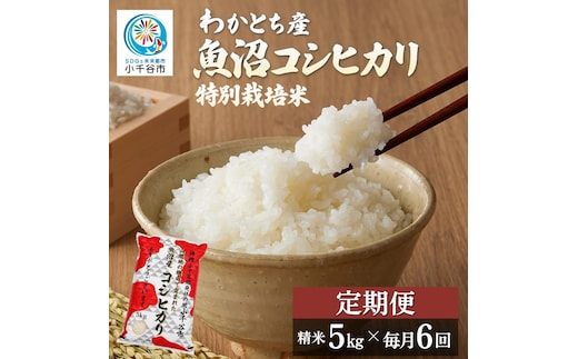 【6か月定期便 魚沼産コシヒカリ 錦鯉デザイン】令和8年産 新米 コシヒカリ 特別栽培米 棚田米 精米 合計30kg（5kg×毎月お届け全6回） 錦鯉発祥の地・小千谷 | 魚沼産こしひかり 魚沼コシヒカリ 新潟県産コシヒカリ 新潟産コシヒカリ 錦鯉 縁起物 内祝い お米 米 白米 新潟県 小千谷市 【0002-WA02DB00】