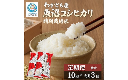 【3か月定期便 魚沼産コシヒカリ 錦鯉デザイン】令和8年産 新米 コシヒカリ 特別栽培米 棚田米 精米 合計30kg（10kg×毎月お届け全3回） 錦鯉発祥の地・小千谷 | 魚沼産こしひかり 魚沼コシヒカリ 新潟県産コシヒカリ 新潟産コシヒカリ 錦鯉 縁起物 内祝い お米 米 白米 新潟県 小千谷市 【0002-WA05DB】