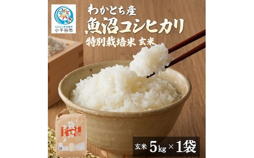 【令和8年産】 わかとち産 魚沼コシヒカリ 特別栽培 棚田米 玄米5kg Mt.ファームわかとち | 新潟県産 小千谷市【0013-0002】