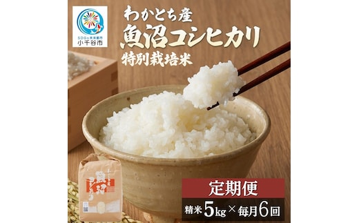 【令和8年産 定期便】わかとち産 棚田で育てた特別栽培米 魚沼コシヒカリ 棚田米 計30kg (5kg×毎月お届け全6回) Mt.ファームわかとち | 新潟県産 小千谷市【0013-0005DB00】