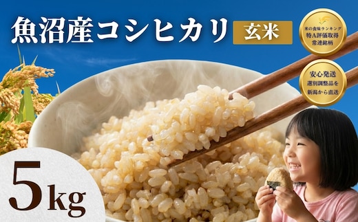 先行予約 魚沼産コシヒカリ 玄米 5kg 令和8年産 石抜き済 選別調整済 米太 | 新潟県産 こしひかり 魚沼玄米 健康 腸活 食物繊維 ダイエット 5キロ 産地直送【0020-KT16-01】
