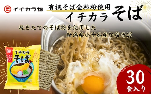 有機そば全粒粉使用 有機栽培のインスタント蕎麦「イチカラそば」30食入 イチカラ畑 【0021-0007-01】