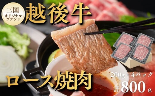 ロース焼肉 新潟 越後牛 ロース 焼肉 計800g (200g×4パック) 三国 | 冷凍 ブランド牛 焼肉 越後牛 国産牛 新潟県産 ロース ロース肉 ろーす ろーす肉 ろーす焼肉 和牛 牛肉 新潟県 小千谷市【0043-0006-01】
