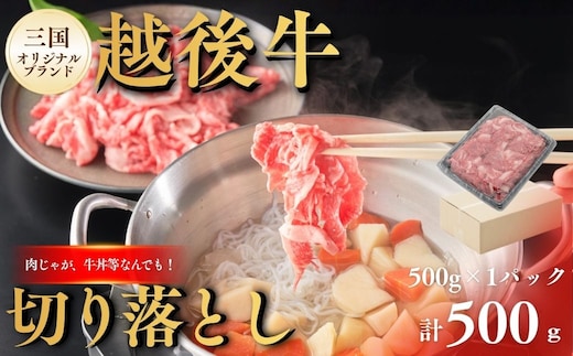 切り落とし 新潟 越後牛 切り落とし 500g (500g×1パック) 三国 | 冷凍 ブランド牛 焼肉 越後牛 国産牛 新潟県産 切り落とし 和牛 牛肉 モモ バラ ロース 肩 新潟県 小千谷市【0043-0007】