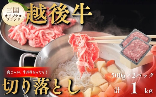 切り落とし 新潟 越後牛 切り落とし 1kg (500g×2パック) 三国 | 冷凍 ブランド牛 焼肉 越後牛 国産牛 新潟県産 切り落とし 和牛 牛肉 モモ バラ ロース 肩 新潟県 小千谷市【0043-0008】