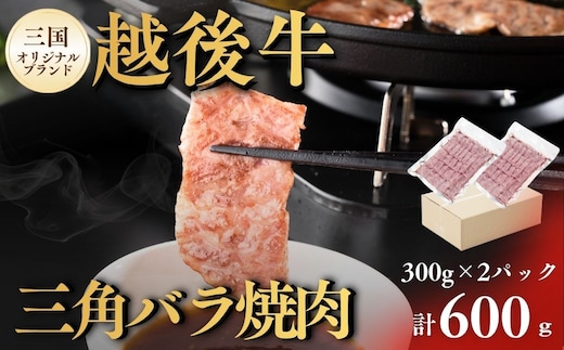 三角バラ焼肉 新潟 越後牛 三角バラ焼肉 600g (300g×2パック) 三国 | 冷凍 ブランド牛 焼肉 越後牛 国産牛 新潟県産 焼き肉 和牛 牛肉 バラ バラ肉 新潟県 小千谷市【0043-0009】