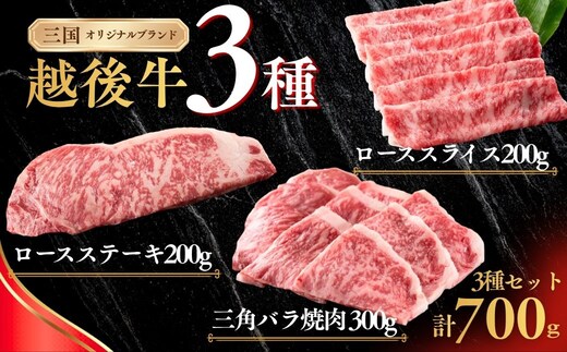 新潟 越後牛 3種 ロースステーキ 200g 三角バラ焼肉 300g ローススライス 200g 計700g 三国 | 冷凍 ブランド牛 焼肉 越後牛 国産牛 新潟県産 焼き肉 和牛 牛肉 バラ バラ肉 ロース ロースステーキ ステーキ スライス ローススライス 新潟県 小千谷市【0043-0010】