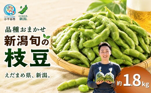 ＜先行予約 枝豆＞ 新潟県産えだまめ 小千谷産枝豆 品種:おまかせ 約1.8kg 農園つなり 新潟県産 枝豆 えだまめ エダマメ