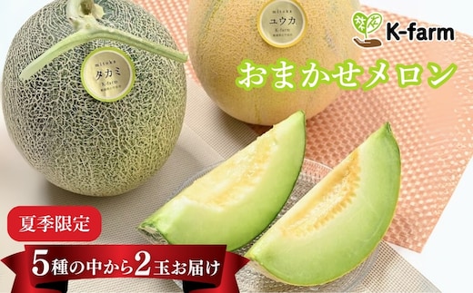 【先行予約 令和8年夏発送 メロン】K-farmのおまかせメロン2玉 K-farm | メロン めろん フルーツ ふるーつ 果物 くだもの 季節限定 贈り物 ギフト 新潟県 小千谷市【0054-0001-02】