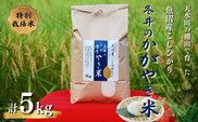 令和8年産 新米 先行予約 特別栽培米 魚沼産こしひかり5kg「冬井のかがやき米」 白米 魚沼 米 アスカ冬井