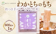 杵つき手のし餅・魚沼「わかとちのもち」黒米もち 500g×1個 Mt.ファームわかとち【0002-0433SV06-01】