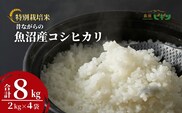 令和7年産 昔ながらの魚沼産コシヒカリ 精米8kg(2kg×4袋) 従来品種 農園ビギン 【0002-BN03-01】