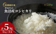 令和7年産 昔ながらの魚沼産コシヒカリ 精米5kg(5kg×1袋) 従来品種 農園ビギン 【0002-BN04-01】