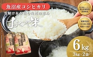 令和7年産 魚沼産コシヒカリ 3kg×2袋 クラフト袋 JA魚沼 【0002-JA01-03】