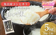 魚沼産コシヒカリ おぢや米 5kg コシヒカリ JA魚沼