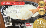【6か月定期便(隔月発送)】 令和7年産 魚沼産コシヒカリ 精米5kg(5kg×1袋)×全6回 JA魚沼 【0002-JA06DB00-03】