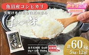 【12か月定期便(毎月発送)】 令和7年産 魚沼産コシヒカリ「おぢや米」 精米5kg(5kg×1袋)×全12回 JA魚沼