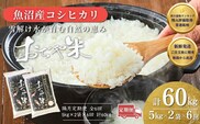 【6か月定期便(隔月発送)】 令和7年産 魚沼産コシヒカリ 精米10kg(5kg×2袋)×全6回 JA魚沼 【0002-JA09DB00-03】