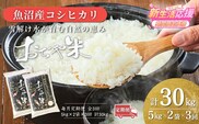 【3か月定期便(毎月)】 令和7年産 魚沼産コシヒカリ｢おぢや米｣合計30kg(5kg×2袋×全3回) コシヒカリ JA魚沼 こしひかり