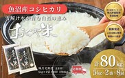 【8か月定期便（毎月発送）】 令和7年産 新潟県 魚沼産コシヒカリ「おぢや米」合計80kg(5kg×2袋×全8回)【0002-JA19DB00-01】