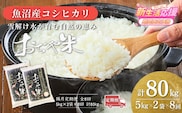 【8か月定期便(毎月)】令和7年産 魚沼産コシヒカリ｢おぢや米｣合計80kg(5kg×2袋×全8回) コシヒカリ JA魚沼 こしひかり　
