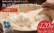 【定期便】令和8年産 魚沼産コシヒカリ 計120kg (5kg2袋×12回)  毎月 コシヒカリ 共栄農工社 こしひかり【0002-KY37DB00-01】