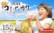 令和7年産 魚沼産コシヒカリ おぢや棚田米コンテスト入賞者の栽培した棚田米 精米15kg（5kg×3回）定期便毎月発送【0002-RC03DB00-02】
