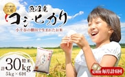 令和7年産 魚沼産コシヒカリ おぢや棚田米コンテスト入賞者の栽培した棚田米 精米30kg（5kg×6回）定期便毎月発送【0002-RC05DB00-02】