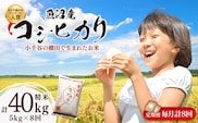 令和7年産 魚沼産コシヒカリ おぢや棚田米コンテスト入賞者の栽培した棚田米 精米40kg（5kg×8回）定期便 毎月発送【0002-RC14DB00-02】