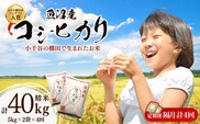 令和7年産 魚沼産コシヒカリ おぢや棚田米コンテスト入賞者の栽培した棚田米 精米40kg（5kg×2袋×4回）定期便 隔月発送【0002-RC15DB00-02】