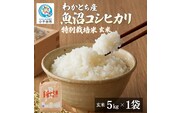 【令和8年産】 わかとち産 魚沼コシヒカリ 特別栽培 棚田米 玄米5kg Mt.ファームわかとち | 新潟県産 小千谷市【0013-0002】