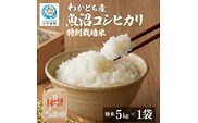 【令和8年産】わかとち産 棚田で作る特別栽培米の魚沼コシヒカリ 棚田米 5kg Mt.ファームわかとち  | 新潟県産 小千谷市【0013-0003】