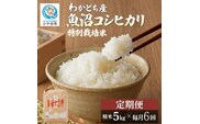 【令和8年産 定期便】わかとち産 棚田で育てた特別栽培米 魚沼コシヒカリ 棚田米 計30kg (5kg×毎月お届け全6回) Mt.ファームわかとち  | 新潟県産 小千谷市【0013-0005DB00】