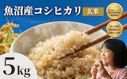 先行予約 魚沼産コシヒカリ 玄米 5kg 令和8年産 石抜き済 選別調整済 米太 | 新潟県産 こしひかり 魚沼玄米 健康 腸活 食物繊維 ダイエット 5キロ 産地直送【0020-KT16-01】