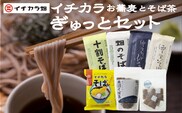 イチカラぎゅっとセット イチカラ畑こだわりそばとそば茶全商品のセット | 蕎麦 ソバ 乾麺 無農薬栽培 お取り寄せ 取り寄せ 特産品 グルメ 贈り物 贈答 お試し 新潟県 小千谷市【0021-0015-01】