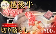 切り落とし 新潟 越後牛 切り落とし 500g (500g×1パック) 三国 | 冷凍 ブランド牛 焼肉 越後牛 国産牛 新潟県産 切り落とし 和牛 牛肉 モモ バラ ロース 肩 新潟県 小千谷市【0043-0007】