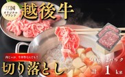 切り落とし 新潟 越後牛 切り落とし 1kg (500g×2パック) 三国 | 冷凍 ブランド牛 焼肉 越後牛 国産牛 新潟県産 切り落とし 和牛 牛肉 モモ バラ ロース 肩 新潟県 小千谷市【0043-0008】