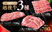 新潟 越後牛 3種 ロースステーキ 200g 三角バラ焼肉 300g ローススライス 200g 計700g 三国 | 冷凍 ブランド牛 焼肉 越後牛 国産牛 新潟県産 焼き肉 和牛 牛肉  バラ バラ肉 ロース ロースステーキ ステーキ スライス ローススライス  新潟県 小千谷市【0043-0010】