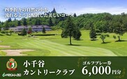 【小千谷カントリークラブ】ゴルフプレー券6,000円(1,000円×6枚) 緑豊かな風景を楽しみながらプレー 小千谷綜合開発 | 小千谷 カントリークラブ ゴルフ プレー チケット ゴルフ体験 新潟県 小千谷市  【0044-0002-01】
