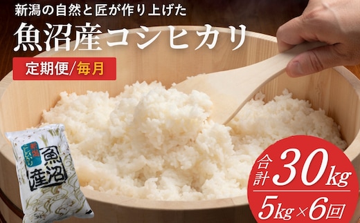 米 コシヒカリ魚沼産コシヒカリ 魚沼コシヒカリ 定期便 計30kg(5kg×6回) 毎月お届け 令和8年産 先行予約 精米 共栄農工社 | 魚沼産こしひかり 魚沼こしひかり 新潟県産コシヒカリ 新潟産コシヒカリ 新潟県産こしひかり こしひかり 新潟産こしひかり 新潟こしひかり 新潟コシヒカリ お米 白米 おこめ コメ オコメ にいがた 新潟県 小千谷市 【0002-KY14DB00】